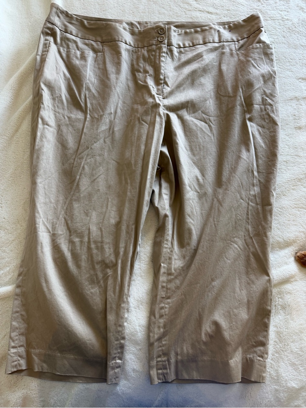 Lane Bryant Beige Stretch Chino Capri Pants
